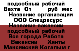 подсобный рабочий . Вахта. От 30 000 руб./мес. › Название организации ­ ООО Спецресурс › Название вакансии ­ подсобный рабочий - Все города Работа » Вакансии   . Ханты-Мансийский,Когалым г.